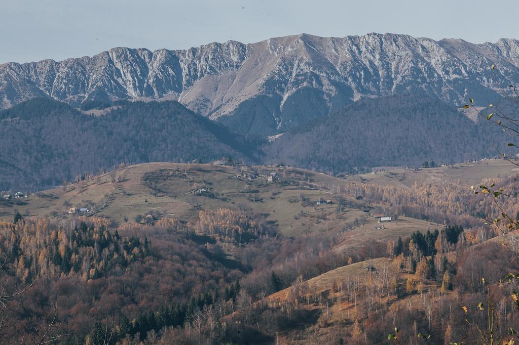 Drumul Carului Villa Moieciu de Jos Zimmer foto
