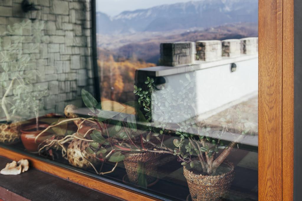 Drumul Carului Villa Moieciu de Jos Exterior foto