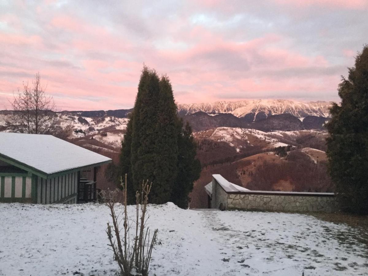 Drumul Carului Villa Moieciu de Jos Exterior foto