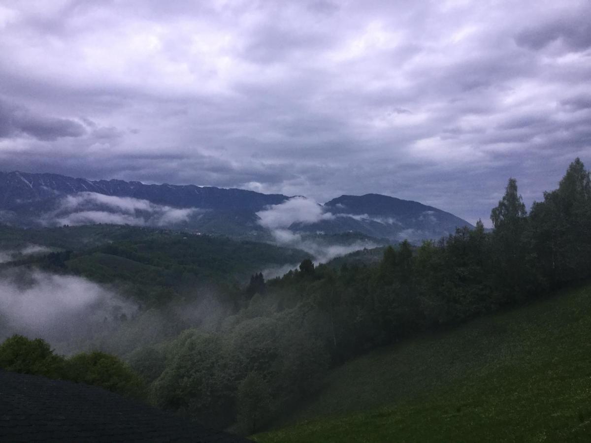 Drumul Carului Villa Moieciu de Jos Exterior foto